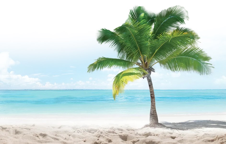 About Hiranandani Sands